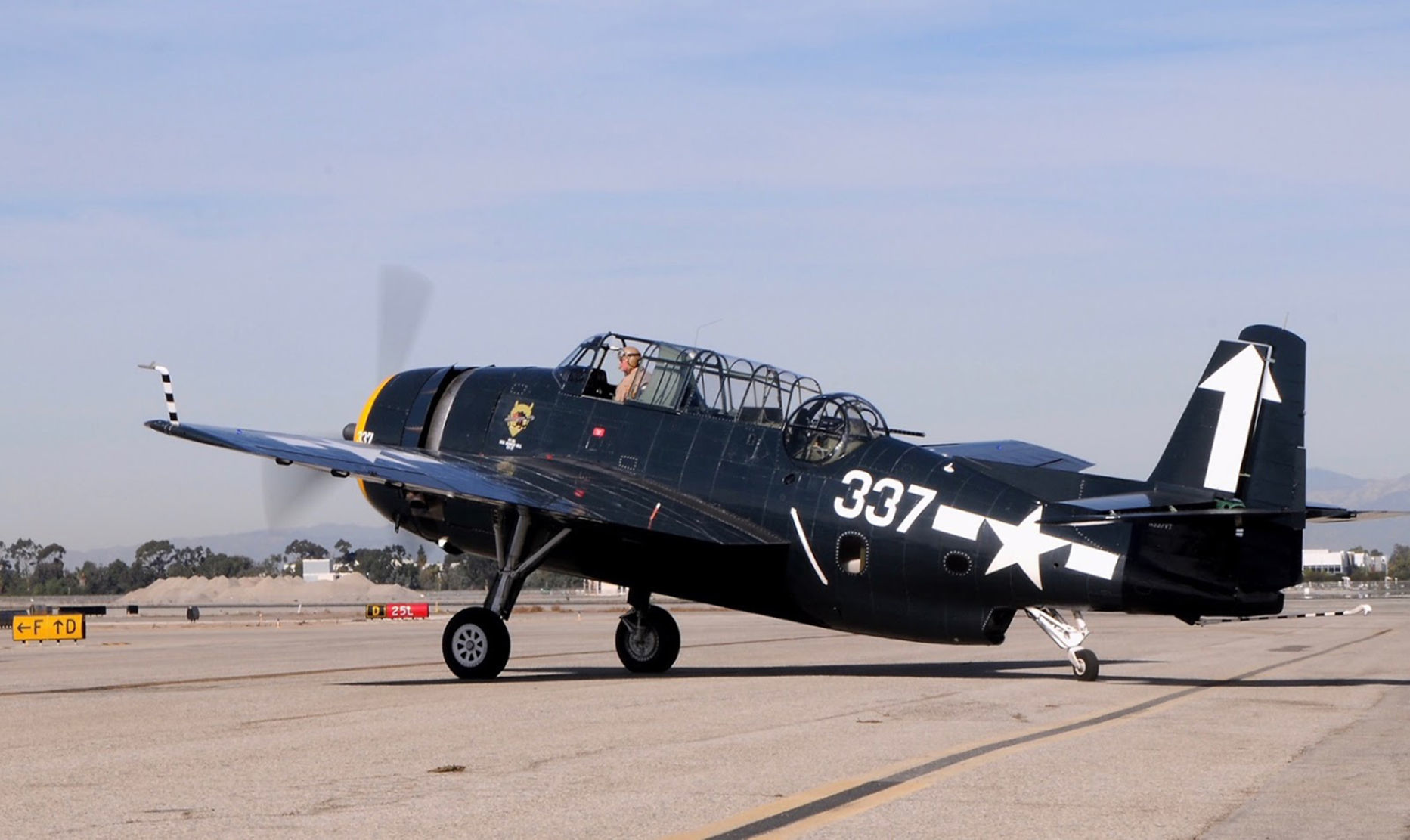 The plane